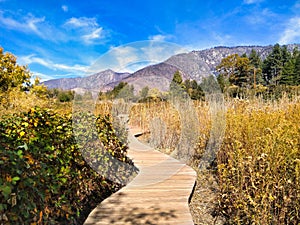 Wooden Pathway at Oak Glen Preserve at San Bernardino County, California