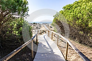 Wooden pathway over dunes and pines at beach in Punta Umbria, Huelva. Los Enebrales beach