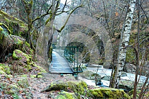 Wooden pathway over the river