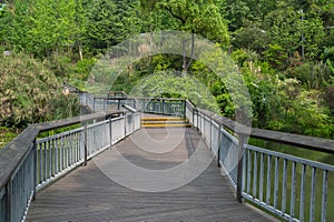 Wooden pathway in spring