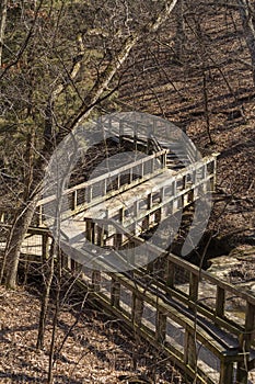 Wooden pathway.