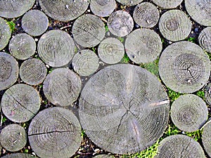 Wooden pavement