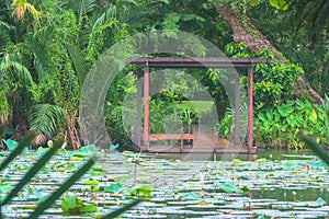 Wooden pavilion locate nearly the lake.