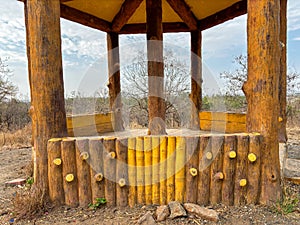 A wooden pavilion with a tree trunk in the center, Ralamandal, Indore, India