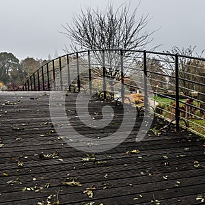 wooden pedestrian bowed bridge and bare trees during a foggy autumn day in the Stuyvenberg city park, Brussels