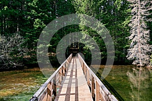 Wooden pedestrian bridge with handrails across a lake to a forested shore