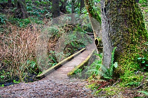 Wooden Pedestrian bridge over a creek