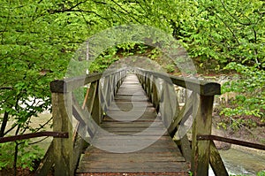 Wooden pedestrian bridge over river. Springtime