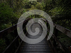 Wooden pedestrian bridge to green tropical forest waterfall Wentworth Falls in Whangamata Coromandel Waikato New Zealand
