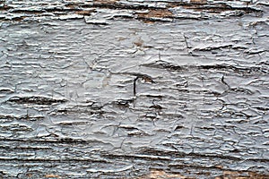 Wooden peels painted wall