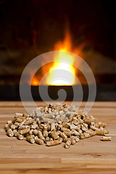 Wooden pellets in front of Biomass Heater