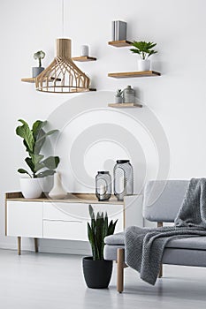 Wooden pendant light, simple shelves on a white wall and a plant