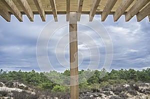 Wooden pergola facing to forest