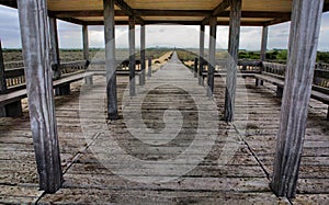 Wooden pergola photo