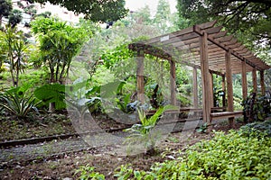 Wooden Pergola in park