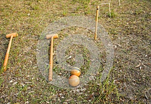 Wooden petanque ball on grass