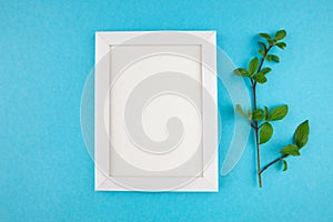 wooden photo frame and branch with leaves on isolated blue background