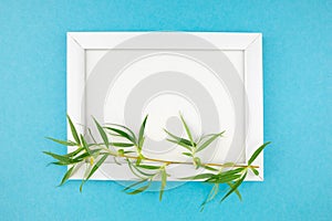 wooden photo frame and branch with leaves on isolated blue background