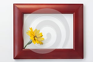 Wooden photo frame with yellow flowers on a white background. Hello autumn concept