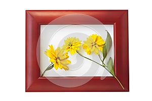 Wooden photo frame with yellow flowers on a white background. Hello autumn concept