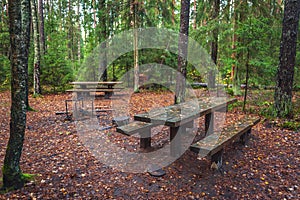 Wooden picnic table with fallen leaves in the forest