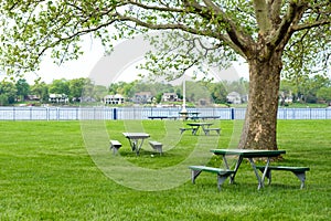 Wooden picnic table in scenic park with trees and lake