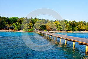 Wooden pier, bridge to island with tropical garden. Maldives island, Indian Ocean. Travel summer vacation background