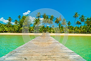 Wooden pier or bridge with tropical beach and sea in paradise is