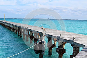 Wooden pier