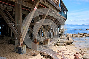 Wooden Pier and Coast in Monterey California