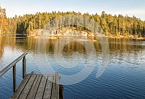 Wooden pier in the forest pond