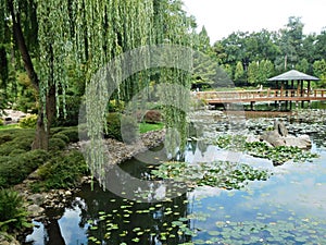 A pier with a gazebo on a pond in the Japanese Garden in WrocÃâaw, Poland