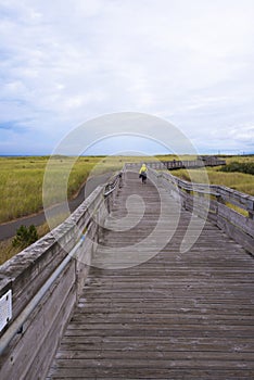 Wooden pier with handrails winding for walking along ocean coast