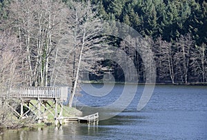 Wooden pier by the lake