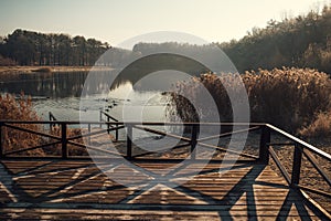 wooden pier on the lake, forest