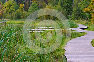 wooden pier by the lake in the forest in autumn foggy day