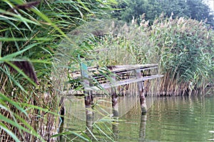 A wooden pier on the lake in Sapowice, Poland