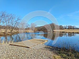 Wooden pier on a small pond with ducks and geese in the lake on a sunny day with a blue sky. There are trees surrounding the pond