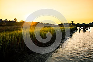 Wooden pier in south carolina low country marsh at sunset with green grass