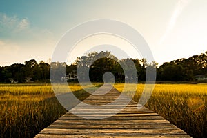 Wooden pier in south carolina low country marsh at sunset with green grass