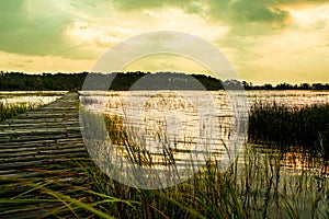 Wooden pier in south carolina low country marsh at sunset with green grass