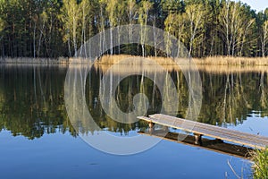 Wooden pier and spring forest on a calm lake in Ukraine. Nature and travel concept