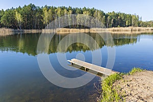 Wooden pier and spring forest on a calm lake in Ukraine. Nature and travel concept