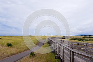 Wooden pier surrounded by grass for walking along the ocean