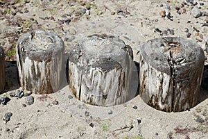 Wooden piers on the Baltic Sea, Germany