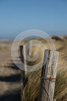 A wooden pile as part of a fence in a dune landscape in background