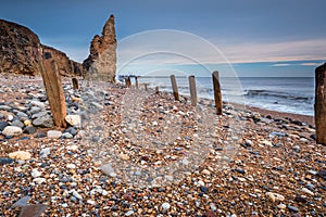 Wooden Piles on Chemical Beach