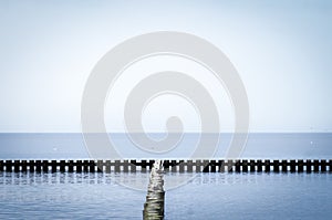 Wooden piles of old waterbreak