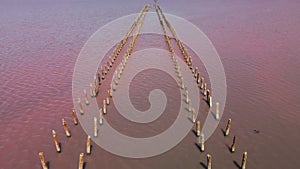 Wooden piles in a pink lake. Flying over pink salt lake. Dunaliella algae gives the water a pink tint.