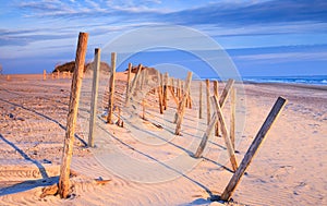 Wooden Pilings on Sandy Beach North Carolina photo